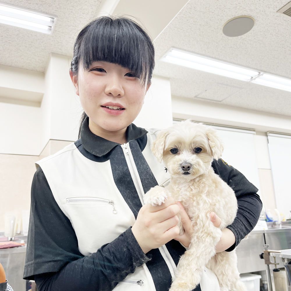 スキルアッププログラム♪